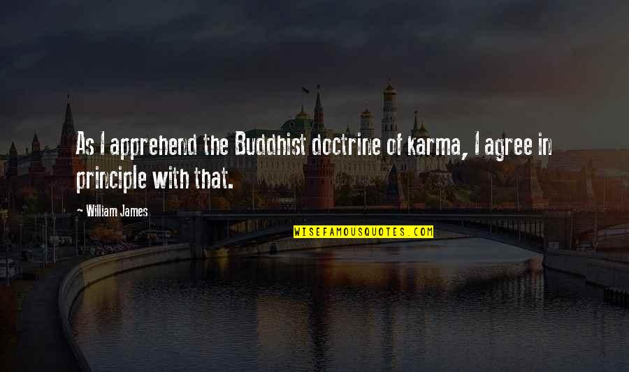 Good Sailing Quotes By William James: As I apprehend the Buddhist doctrine of karma,