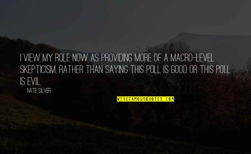 Good Saying Quotes By Nate Silver: I view my role now as providing more Good Saying Quotes By Nate Silver: I view my role now as providing more