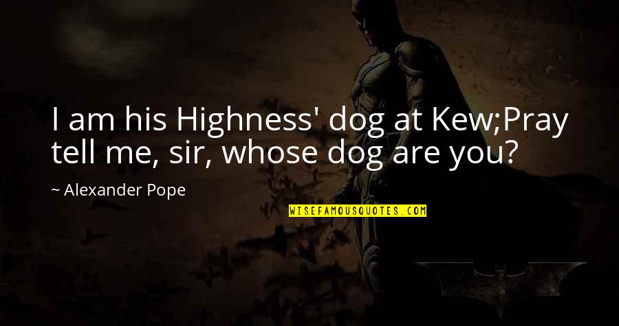 Good Sayings Quotes By Alexander Pope: I am his Highness' dog at Kew;Pray tell
