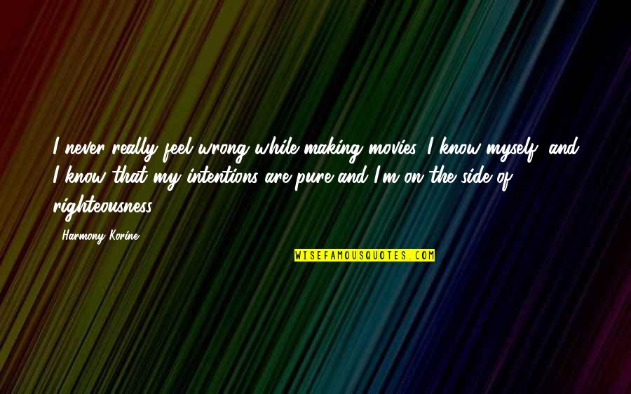 Good Self Concept Quotes By Harmony Korine: I never really feel wrong while making movies.