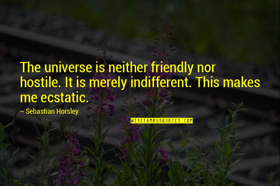 Good Self-esteem Boosting Quotes By Sebastian Horsley: The universe is neither friendly nor hostile. It
