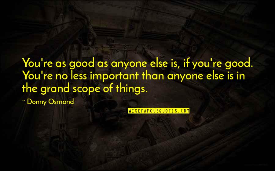 Good Self Esteem Quotes By Donny Osmond: You're as good as anyone else is, if