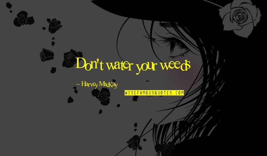 Good Self Esteem Quotes By Harvey MacKay: Don't water your weeds