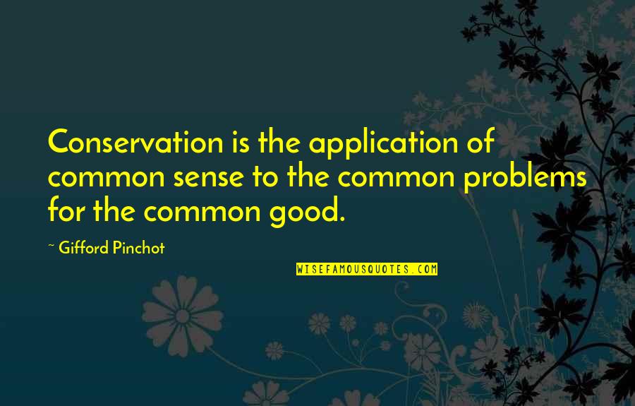 Good Sense Quotes By Gifford Pinchot: Conservation is the application of common sense to