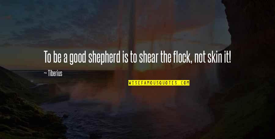 Good Shepherds Quotes By Tiberius: To be a good shepherd is to shear