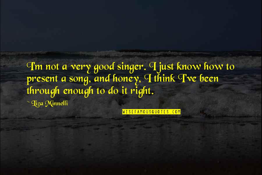 Good Singer Quotes By Liza Minnelli: I'm not a very good singer. I just