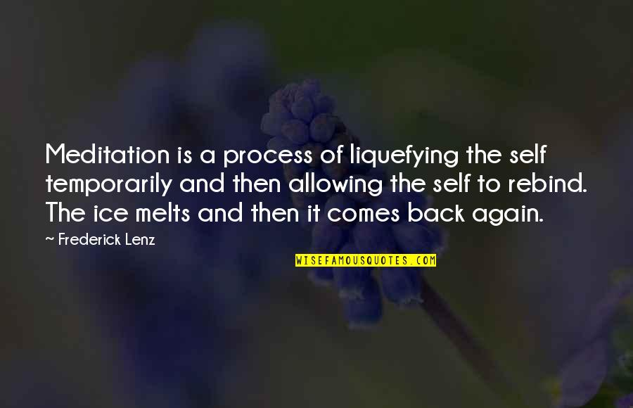 Good Single Mothers Quotes By Frederick Lenz: Meditation is a process of liquefying the self