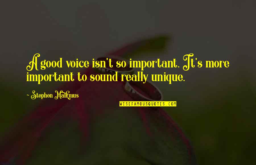 Good Snowmobile Quotes By Stephen Malkmus: A good voice isn't so important. It's more