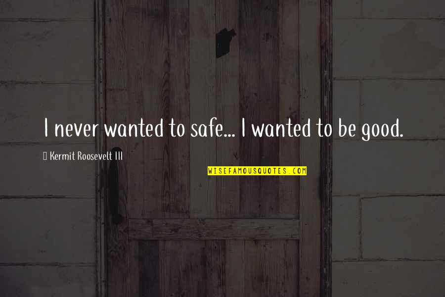 Good Social Quotes By Kermit Roosevelt III: I never wanted to safe... I wanted to