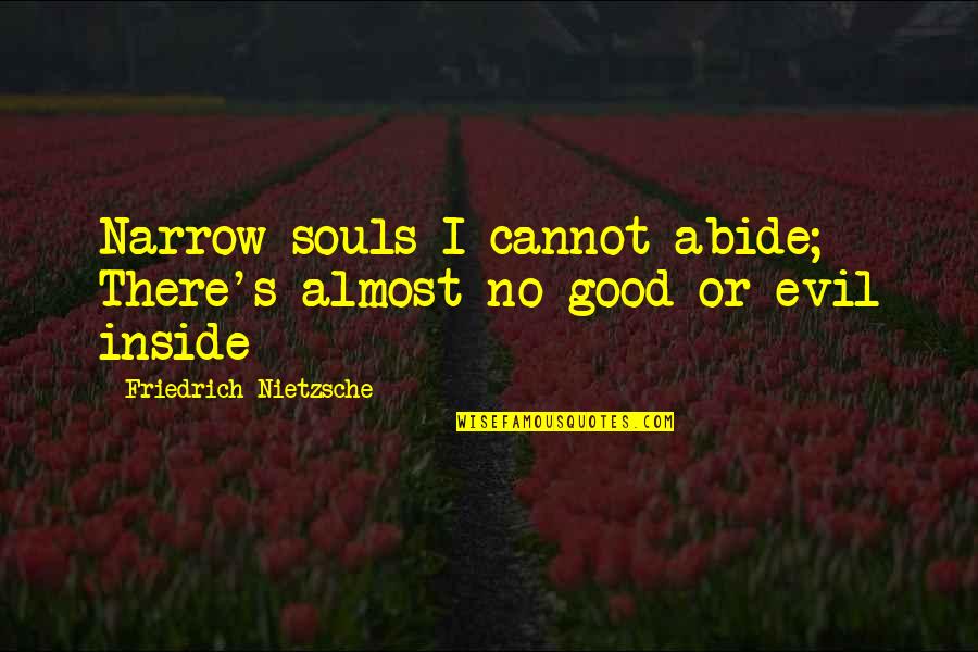 Good Souls Quotes By Friedrich Nietzsche: Narrow souls I cannot abide; There's almost no