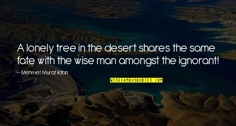 Good Stationery Quotes By Mehmet Murat Ildan: A lonely tree in the desert shares the