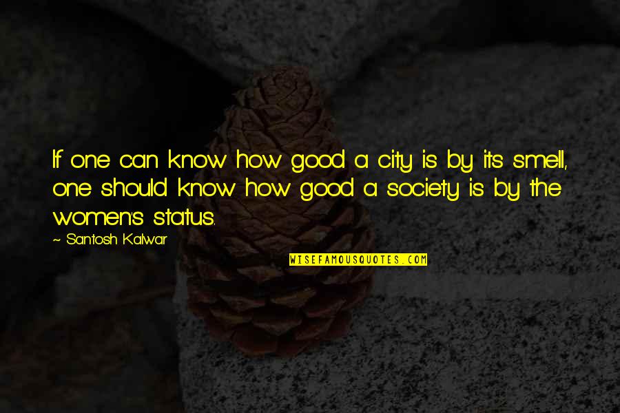 Good Status And Quotes By Santosh Kalwar: If one can know how good a city