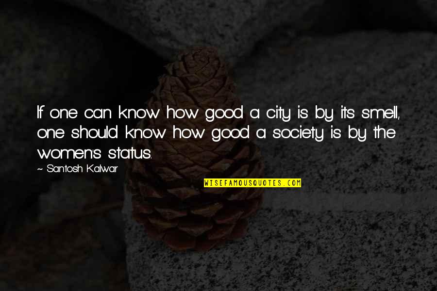 Good Status Quotes By Santosh Kalwar: If one can know how good a city