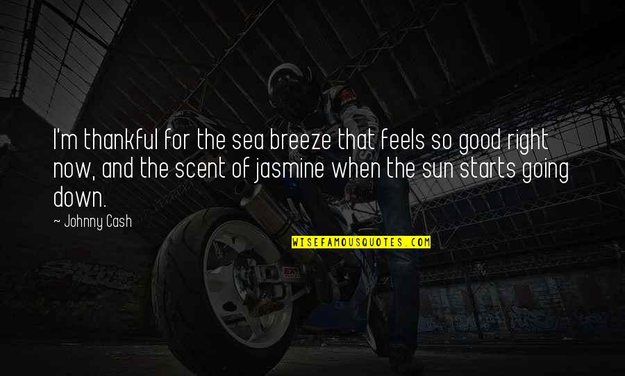 Good Thankful Quotes By Johnny Cash: I'm thankful for the sea breeze that feels