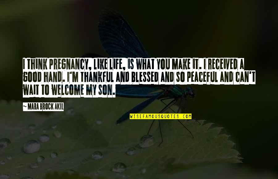 Good Thankful Quotes By Mara Brock Akil: I think pregnancy, like life, is what you