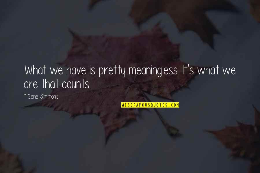 Good The Book Thief Quotes By Gene Simmons: What we have is pretty meaningless. It's what