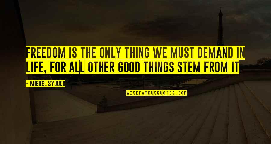 Good Things In Life Quotes By Miguel Syjuco: Freedom is the only thing we must demand