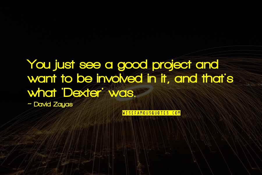 Good To See You Quotes By David Zayas: You just see a good project and want Good To See You Quotes By David Zayas: You just see a good project and want
