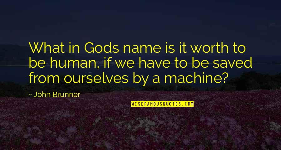 Good Trainer Quotes By John Brunner: What in Gods name is it worth to