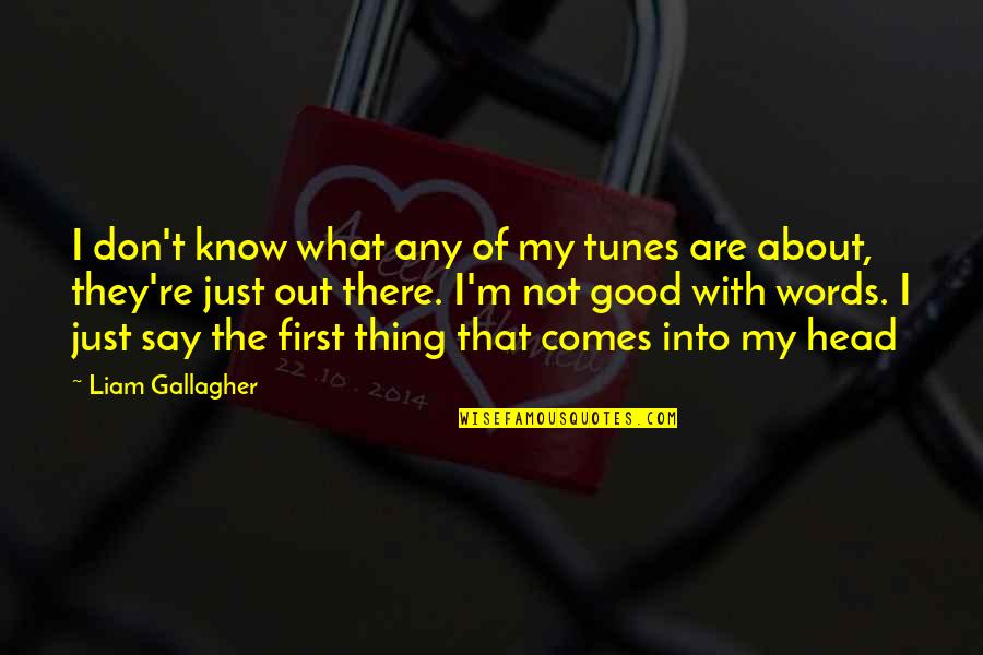 Good Tunes Quotes By Liam Gallagher: I don't know what any of my tunes