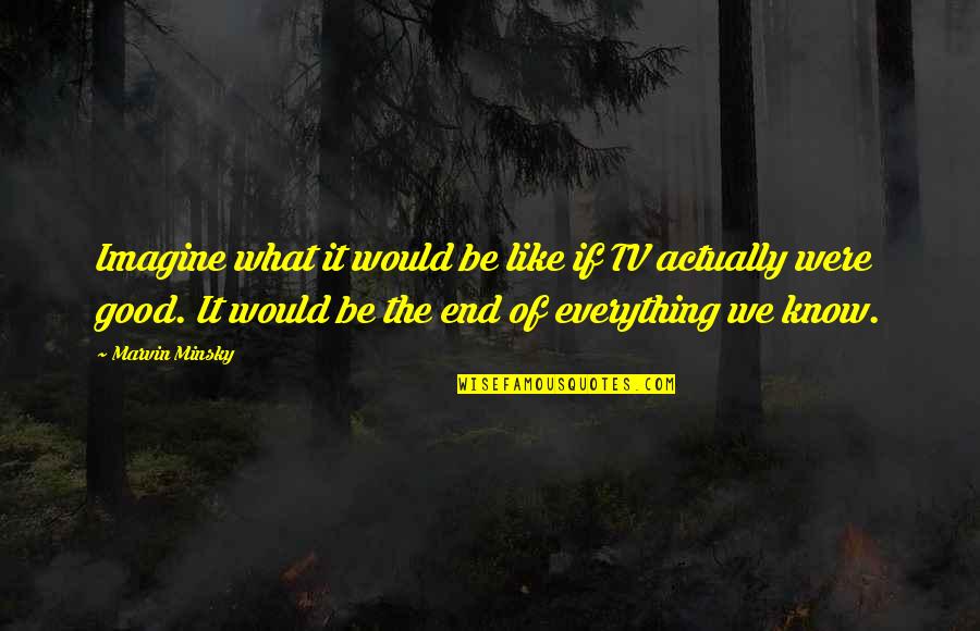 Good Tv Quotes By Marvin Minsky: Imagine what it would be like if TV Good Tv Quotes By Marvin Minsky: Imagine what it would be like if TV