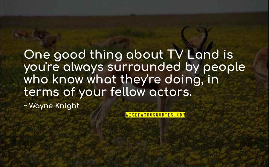 Good Tv Quotes By Wayne Knight: One good thing about TV Land is you're Good Tv Quotes By Wayne Knight: One good thing about TV Land is you're