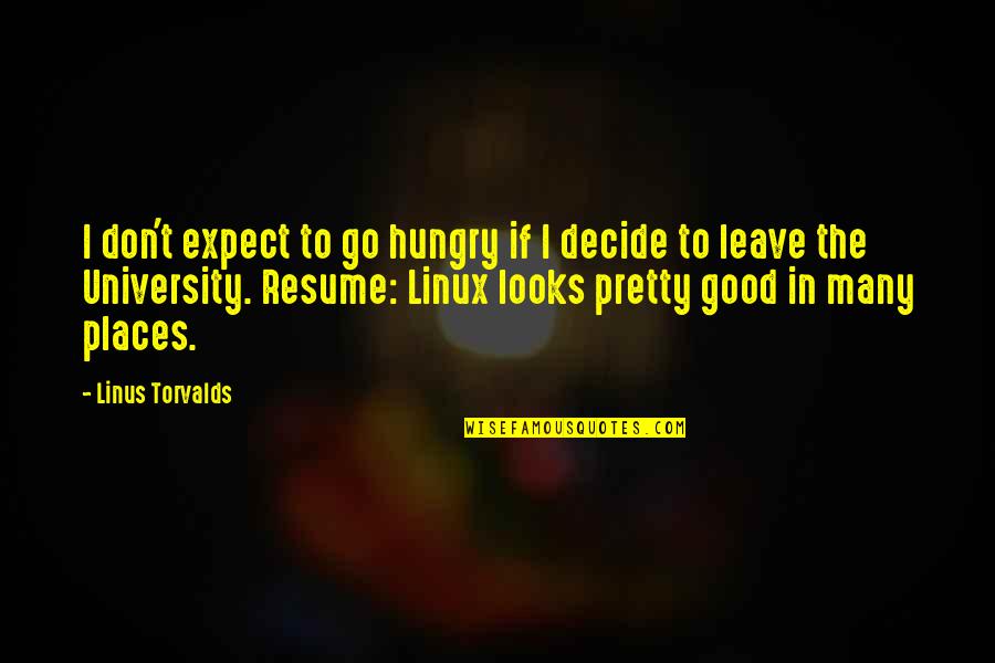 Good University Quotes By Linus Torvalds: I don't expect to go hungry if I