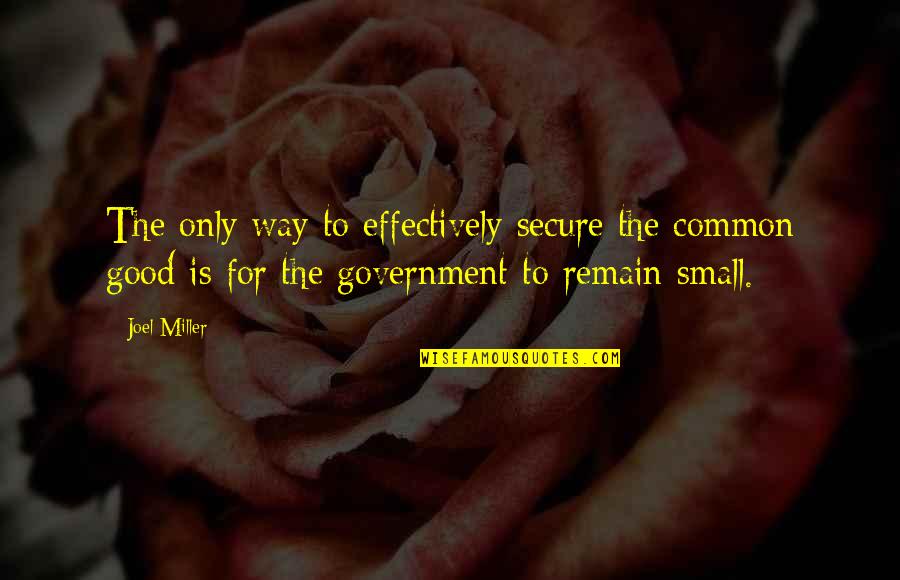 Good Us Government Quotes By Joel Miller: The only way to effectively secure the common