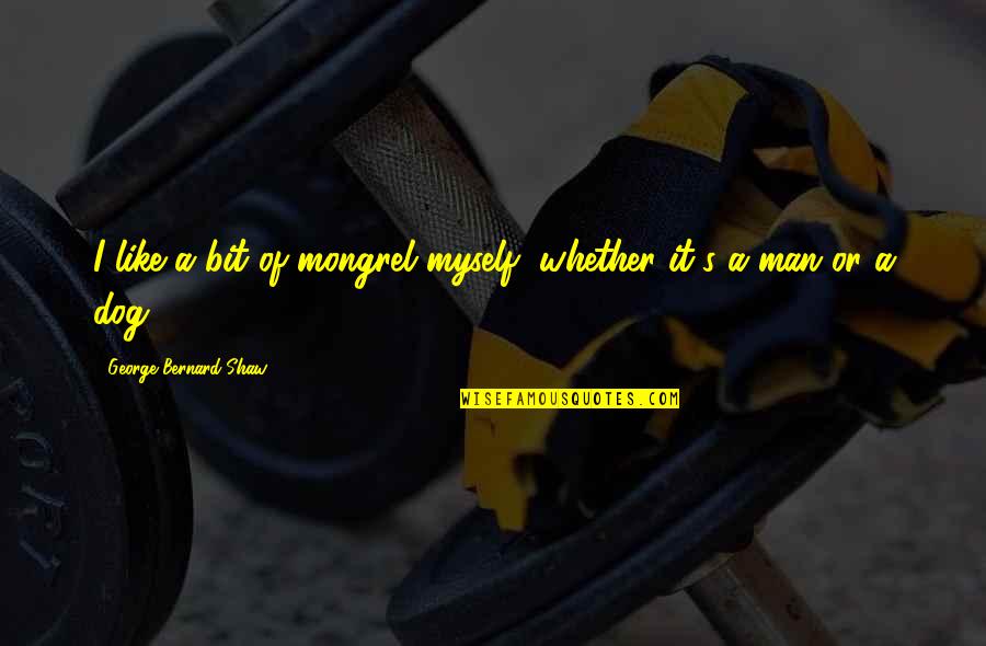 Good Vibe Stoner Quotes By George Bernard Shaw: I like a bit of mongrel myself, whether Good Vibe Stoner Quotes By George Bernard Shaw: I like a bit of mongrel myself, whether