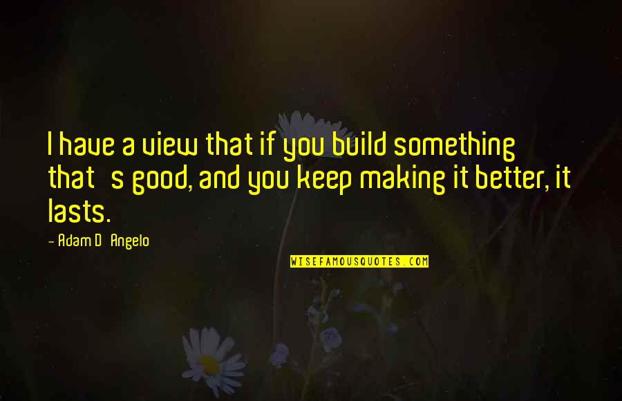 Good View Quotes By Adam D'Angelo: I have a view that if you build