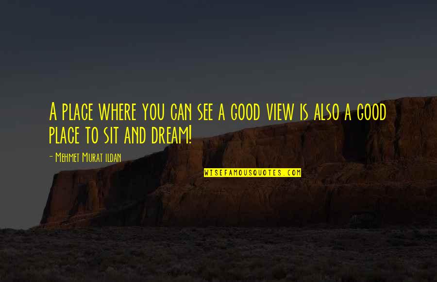 Good View Quotes By Mehmet Murat Ildan: A place where you can see a good