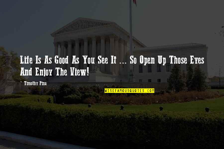 Good View Quotes By Timothy Pina: Life Is As Good As You See It