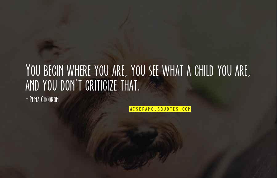 Good Waiter Quotes By Pema Chodron: You begin where you are, you see what