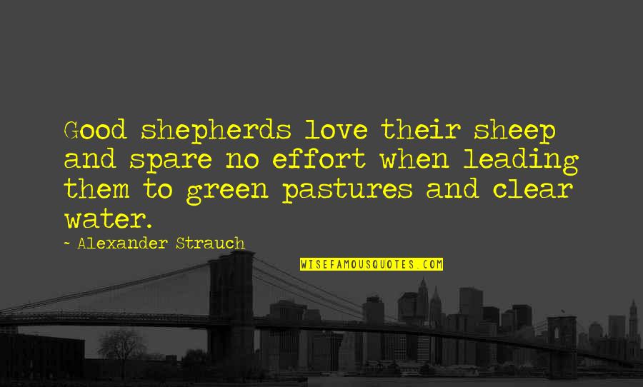 Good Water Quotes By Alexander Strauch: Good shepherds love their sheep and spare no