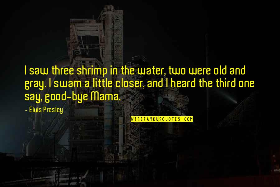 Good Water Quotes By Elvis Presley: I saw three shrimp in the water, two