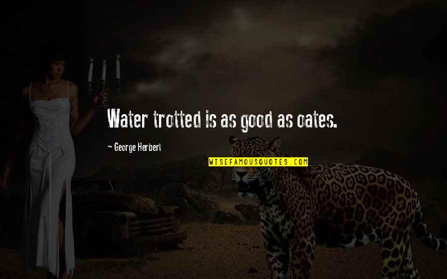 Good Water Quotes By George Herbert: Water trotted is as good as oates.