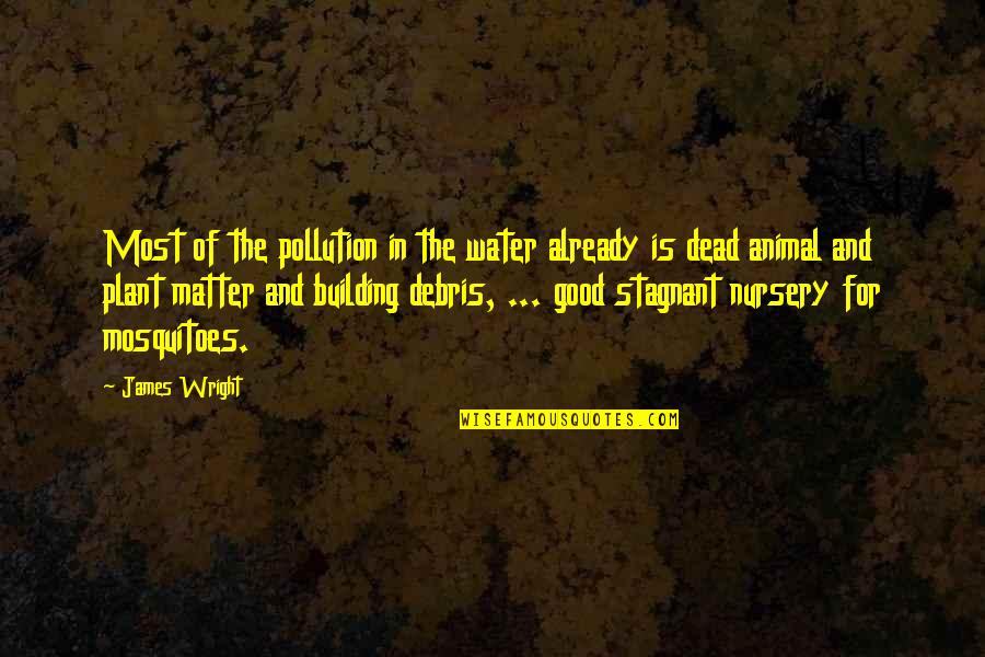 Good Water Quotes By James Wright: Most of the pollution in the water already
