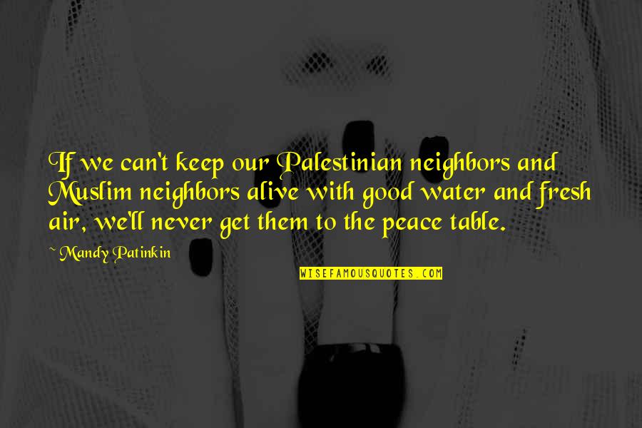 Good Water Quotes By Mandy Patinkin: If we can't keep our Palestinian neighbors and