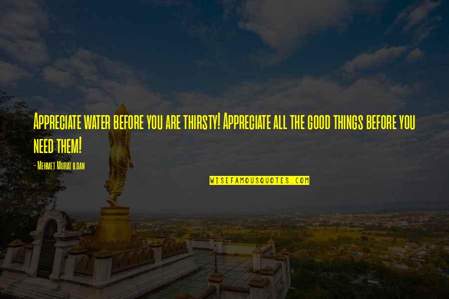Good Water Quotes By Mehmet Murat Ildan: Appreciate water before you are thirsty! Appreciate all