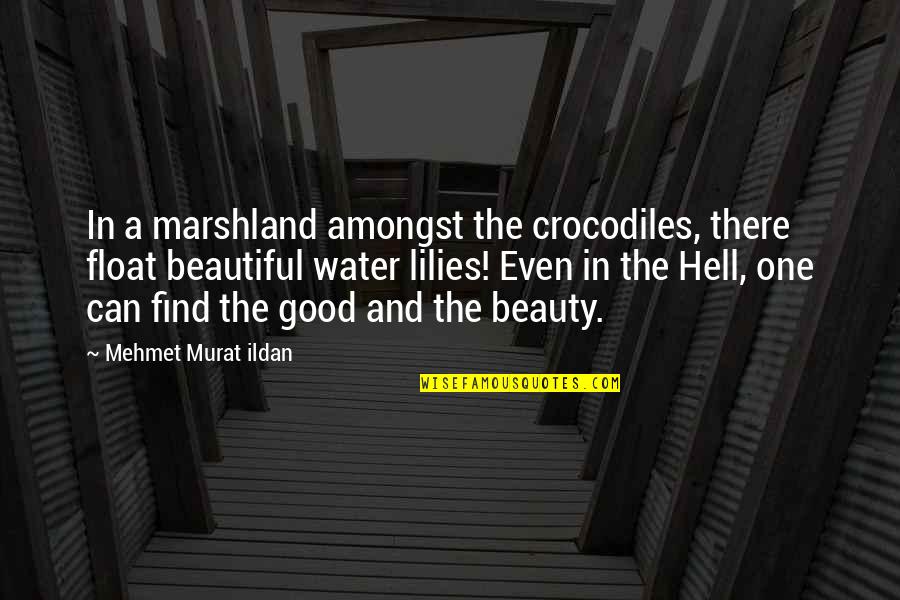 Good Water Quotes By Mehmet Murat Ildan: In a marshland amongst the crocodiles, there float