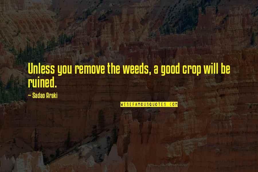 Good Weed Quotes By Sadao Araki: Unless you remove the weeds, a good crop