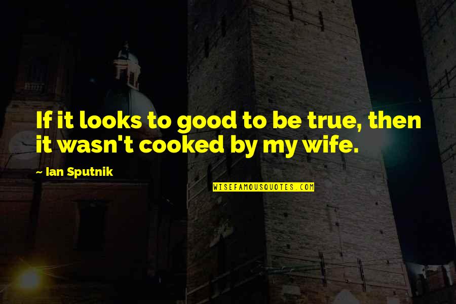 Good Wife Quotes By Ian Sputnik: If it looks to good to be true,