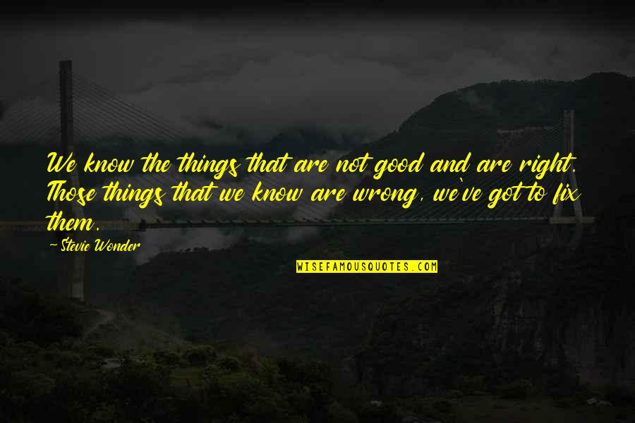 Good Wonder Quotes By Stevie Wonder: We know the things that are not good