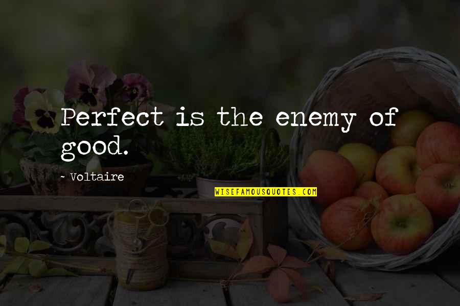 Good Work Ethic Quotes By Voltaire: Perfect is the enemy of good.