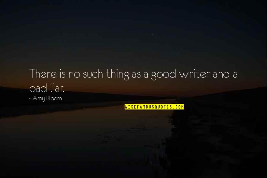 Good Writer Quotes By Amy Bloom: There is no such thing as a good