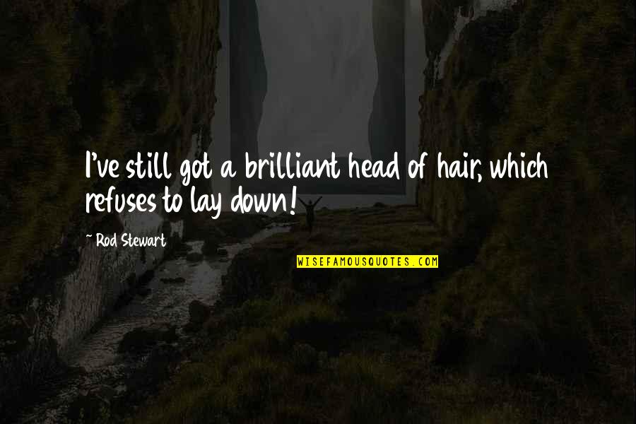 Good Year 12 Quotes By Rod Stewart: I've still got a brilliant head of hair,