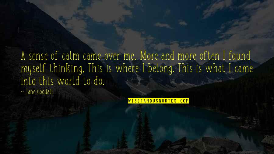 Goodall Quotes By Jane Goodall: A sense of calm came over me. More