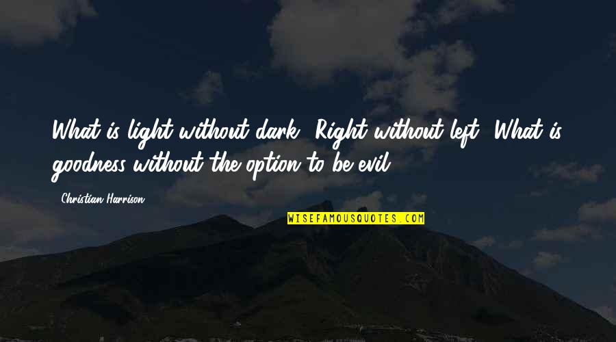 Goodbye 2013 Picture Quotes By Christian Harrison: What is light without dark? Right without left? Goodbye 2013 Picture Quotes By Christian Harrison: What is light without dark? Right without left?