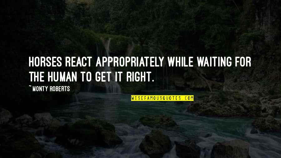 Goodbye 2013 Sad Quotes By Monty Roberts: Horses react appropriately while waiting for the human