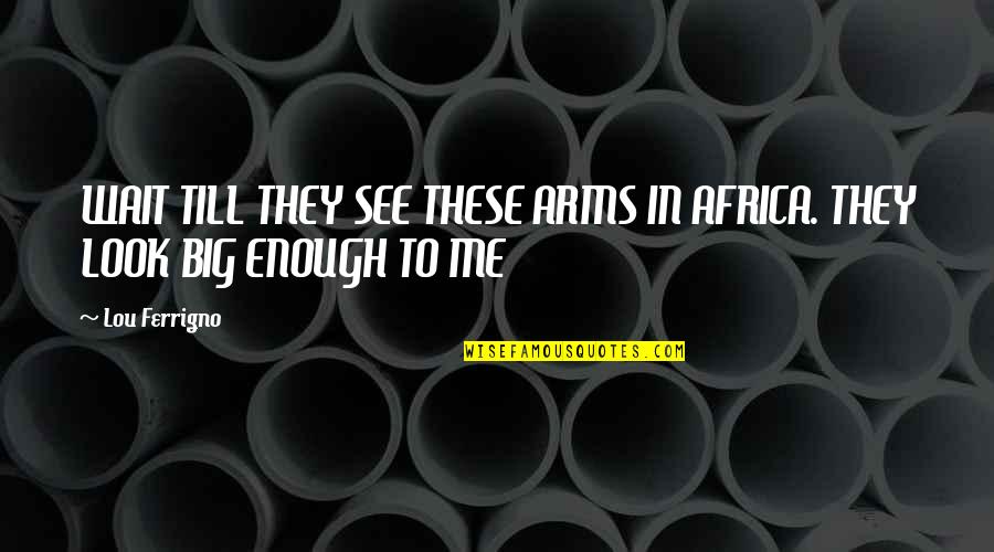 Goodbye Heartaches Quotes By Lou Ferrigno: WAIT TILL THEY SEE THESE ARMS IN AFRICA.